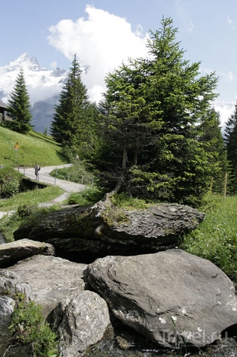 В горах Швейцарии / Фото из Швейцарии