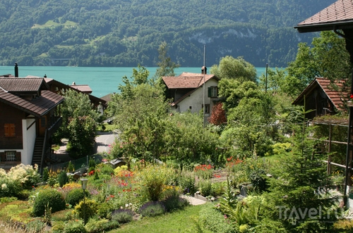 Швейцарские сады / Фото из Швейцарии