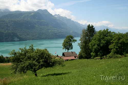 Типичный швейцарский пейзаж / Фото из Швейцарии