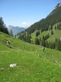 Туристы карабкаются в гору / Швейцария